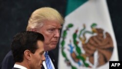 Donald Trump i Enrike Pena Nieto 