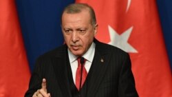 Түркиянын президенти Режеп Тайып Эрдоган. 7-ноябрь, 2019-жыл.