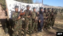 شماری از جنگجویان تحریک طالبان پاکستان. عکس از آرشیف