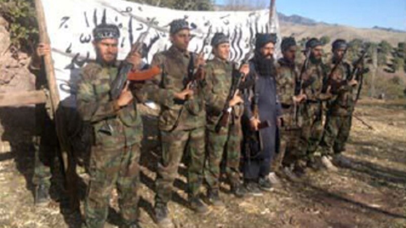 سفر نمایندهٔ پاکستان به کابل؛ اسلام آباد نگران ادامهٔ فعالیت تحریک طالبان پاکستانی است