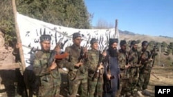 تصویر آرشیف: برخی از اعضای تحریک طالبان پاکستانی 