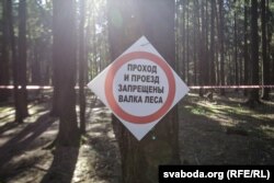 Гэткімі знакамі-папярэджаньнямі мясцовых жыхароў цяпер сустракае лес, у якім яны адпачывалі і празь які дзеці хадзілі ў школу