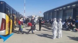 Қырғыз дәрігерлері зертханада жұмыс істеп жатыр. Мамыр айы, 2020 жыл.