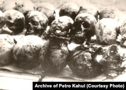 Черепи жертв сталінських репресій із масового поховання в урочищі Дем’янів Лаз біля Івано-Франківська, страчених у червні 1941 року