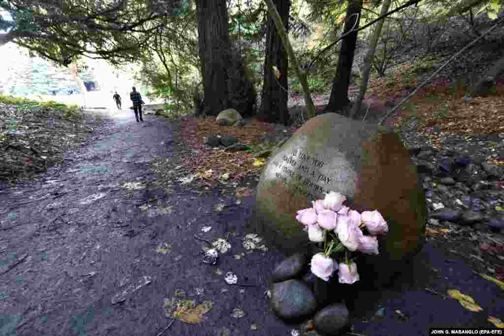 Троянди, залишені як символ любові до людини, життя якої торкнулося СНІДу, у Національному меморіальному парку &laquo;Золоті ворота&raquo; у Сан-Франциско, Каліфорнія, США, 01 грудня 2020 року