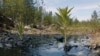 В Коми ввели режим ЧС из-за разлива нефти в реке 