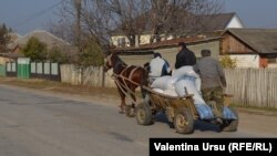 В селе Улму Яловенского района