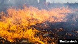 9-10 квітня у Києві очікується висока (4 класу) пожежна небезпека