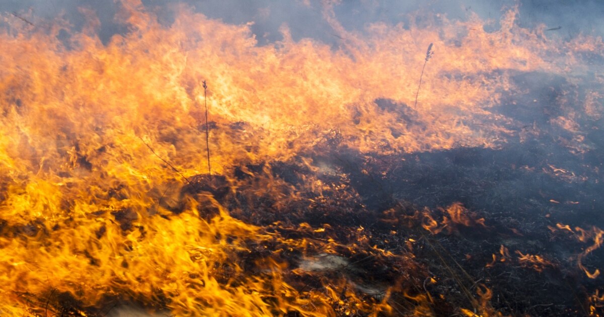 ДСНС звітує про загибель людей через пожежі та нестійкий лід