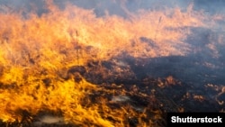 ДСНС фіксує зменшення кількості пожеж порівняно з аналогічним періодом минулого року – тоді за перші майже три місяці року сталася понад 61 тисяча пожеж, загинули 65 людей