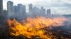 ДСНС: 16 людей загинули під час спалювання сухої трави й очерету
