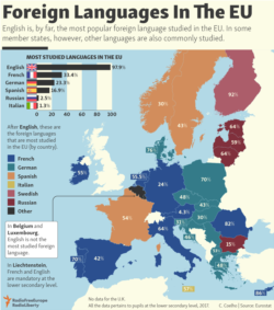 infographic - Foreign languages