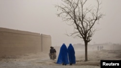 Afghanistan -- Women clad in burqas walk past a tree in Bagram, 03Jan2012