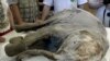 Though Many Consider It Woolly, Scientist Pursues Dream To Resurrect Mammoths In Siberia