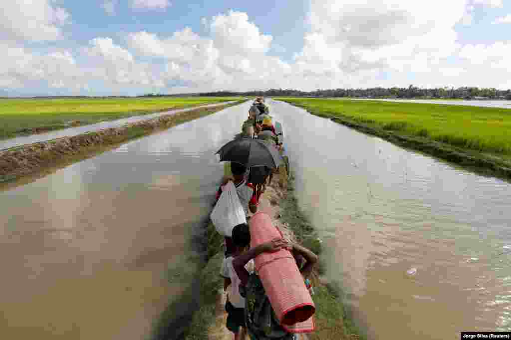 Rohingya refugees who arrived from Burma the night before walk in a rice field after crossing the border in Palang Khali near Cox's Bazaar, Bangladesh. (Reuters/Jorge Silva)