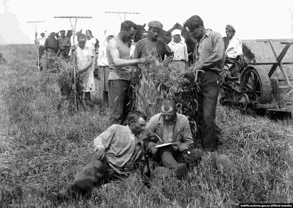 Пробний обмолот зернових в колгоспі імені Д. Бєдного в селі Удачне Донецької області, 1933 рік