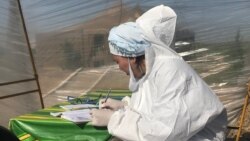 Коронавирус инфекциясына байланысты карантин кезінде жол бойындағы постта отырған медицина қызметкері. Түркістан облысы, 29 сәуір 2020 жыл. Көрнекі сурет.