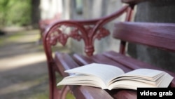 Книга, оставленная на скамейке в парке. 
