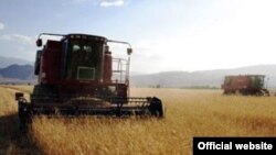 Diňle: Tejenli gallaçylar özlerine berilmeli azodyň 25% kemeldilýändigini aýdyp, häkimiýetleri ‘dökün ogurlygynda’ aýyplaýarlar