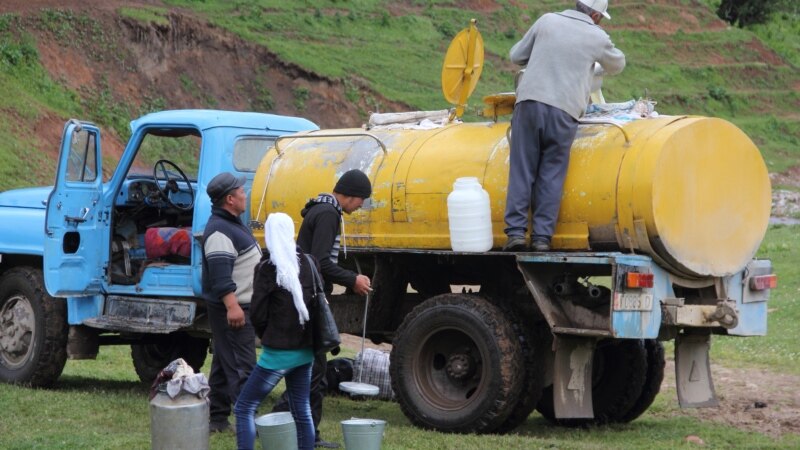 Россельхознадзор Кыргызстандагы сүт иштетүүчү ишканаларды текшерип чыгат 