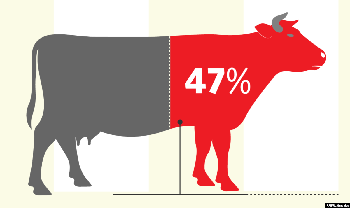 Beef Curtains Pictures