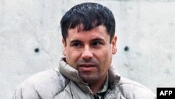 خواکین گوزمان سال ۱۹۹۳ نیز دستگیر شده بود اما سال ۲۰۱۱ موفق شد از زندان بگریزد- ژوئیه ۱۹۹۳