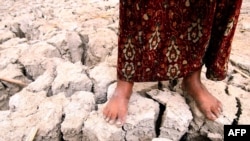 An Iraqi girl stands on cracked earth in the marsh area near Basra