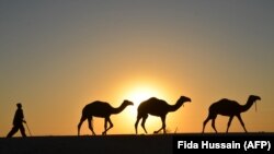 Pakistan, arxiv fotosu