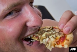 An insect pizza, made with mozzarella, tomato, cumin, mealworms, and the larvae of zophobas morio beetles (file photo)