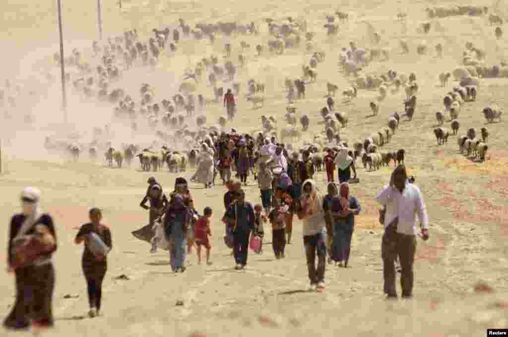 Displaced people from the minority Yazidi sect, fleeing violence from forces loyal to the Islamic State in Sinjar town, walk toward the Syrian border. (Reuters/Rodi Said)