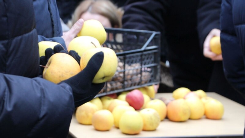 Cum a selectat Ministerul Agriculturii companiile exportatoare de fructe și legume în Rusia