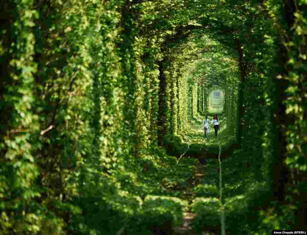 A young Ukrainian couple walks hand in hand along the railway line. (This summer scene was photographed in 2012). The neatly “trimmed” appearance of the tunnel is thanks to a prospering business which operates 24/7 at the far end of the track. 