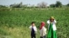 Children Back At Work In Turkmenistan's Cotton Fields