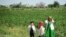 PHOTO GALLERY: Officials in Turkmenistan have long been under international scrutiny for recruiting children to harvest cotton, the country's most important crop. In recent years, the country has enforced laws forbidding the use of child labor. But this harvest season it appears that even young children are back at work in the fields. RFE/RL's Turkmen Service captured these photos from the cotton fields in the Ahal and Lebap provinces.