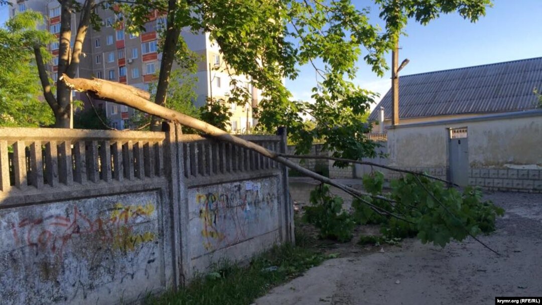 Foto illüstrasiya