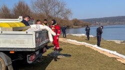 Salvatori din România, specialiști de la „Apele Române” și echipe din Moldova instalează echipamente pentru a extrage poluanții de pe Nistru, la Cureșnița, Soroca, 13 martie 2026