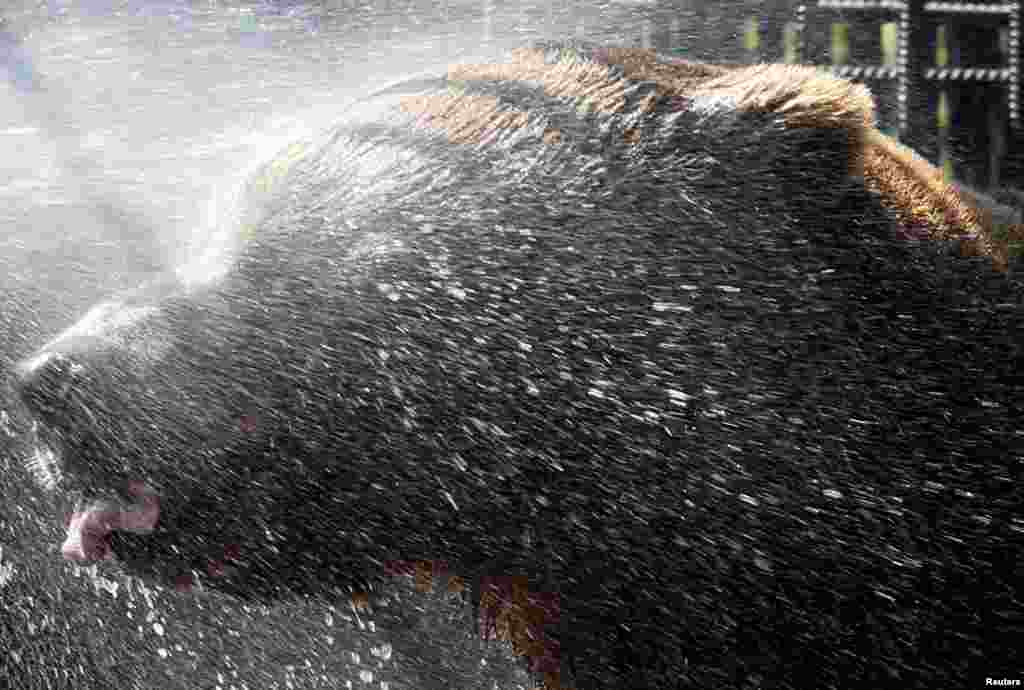 تغییرات شدید در درجه حرارت هوا از ایالات متحده تا الجزایر، از غرب تا شرق آسیا، بسیاری را غافلگیر کرده&zwnj;است به&zwnj;طوری&zwnj;که برخی تابستان امسال را &laquo;دوزخ&raquo; نامیده&zwnj;اند. 