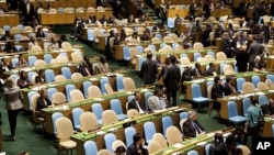 Заседание Генеральной ассамблеи ООН