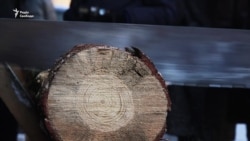 Возле Верховной Рады в Киеве рубят дрова (видео)