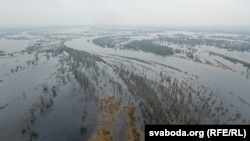Паводка на Палесьсі. Архіўнае фота