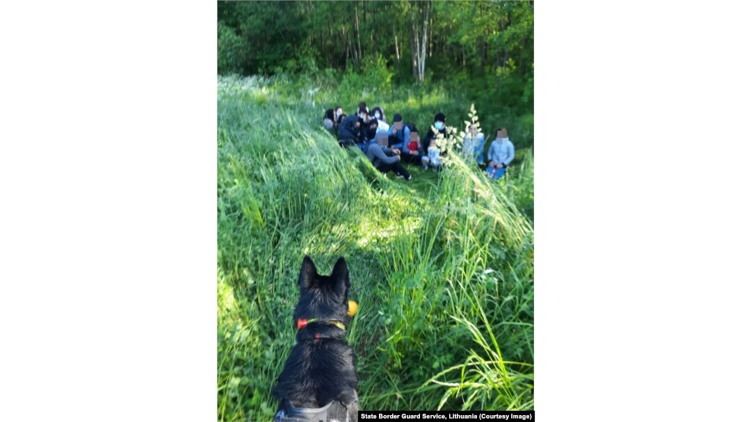 A group of migrants after crossing from Belarus into Lithuania on June 30.
