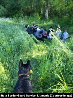 A group of migrants after crossing from Belarus into Lithuania on June 30.