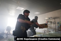 Працівники ДСНС евакуюють тваринок із Харківського зоопарку після влучання російського дрона 15 червня