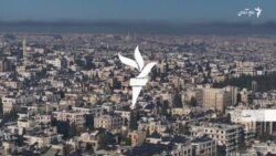 روسیه و ایران از حکومت بشار اسد در مبارزه با شورشیان در حلب، ابراز حمایت کردند