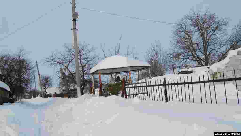 Cernoleuca, Donduseni