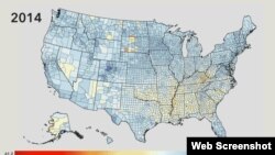 ABŞ-da ömür uzunluğu