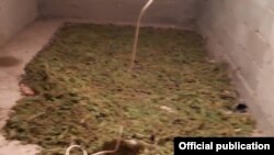 Иллюстрациялык сүрөт.