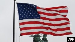 د امریکا بیرغ