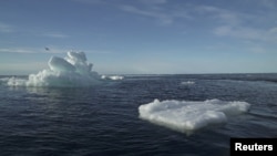 Парчета лед в Арктическия океан