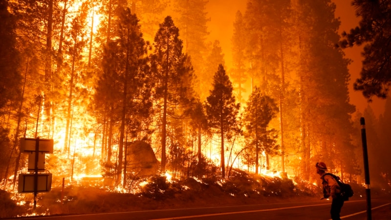 Incendiu de pădure în California - peste 1000 de case amenințate